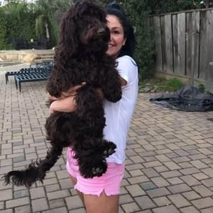 Meet your Posher, Paisley